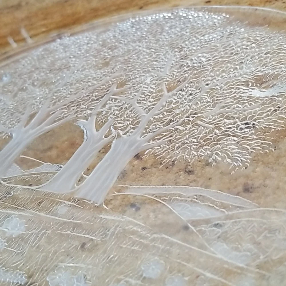 VTG Walther Glass Sommerland Crystal Round 13.5
